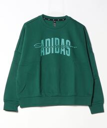 【別注】アディダス adidas カレッジグラフィッククルー 限定コラボ