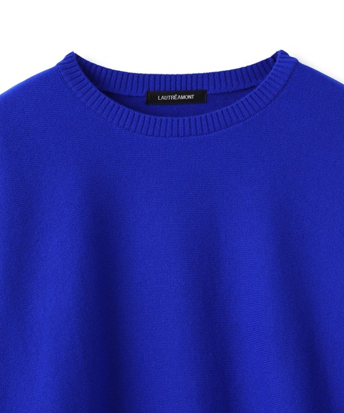 LAUTREAMONT（ロートレアモン）の「ファインメリノウールドルマンニット≪洗える≫（ニット/セーター・レディース・キャメル/ライトグレー/ピンク/グリーン/ブルー・9号）」の8枚目の写真