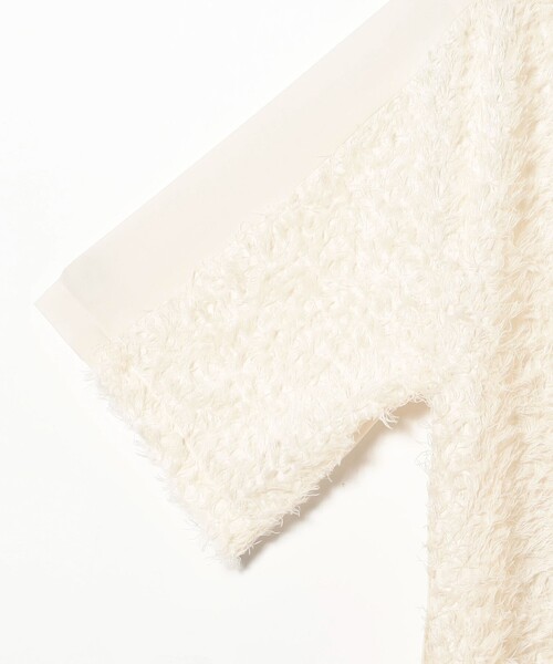 EFFE BEAMS（エッフェビームス）の「ROOM NO.8 BLACK / シアー カットジャカード ハーフスリーブ トップス（シャツ/ブラウス・レディース・クリーム・ONE SIZE）」の4枚目の写真