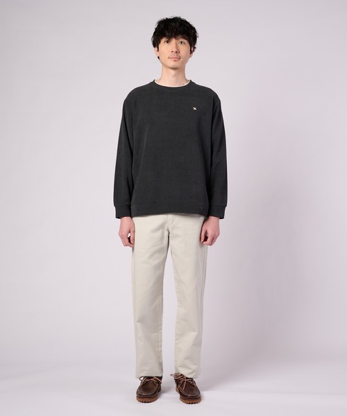 Arnold Palmer(アーノルドパーマー)の「モールジャガード シェア フェイクレイヤード プルオーバー(Tシャツ/カットソー・レディース・ダークネイビー/スモークピンク・LL/L/M/S/XS)」の19枚目の写真