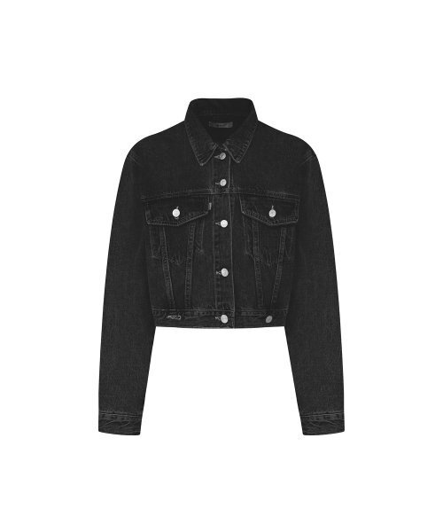 BICE ACHIEVE YOUTH(バイス アチーブ ユース)の「USA TRUCKER JACKET BLACK(デニムジャケット・レディース・その他・ONE SIZE)」の2枚目の写真