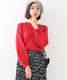 earth music&ecology | ハイネックケーブルニットプルオーバー(ニット/セーター)