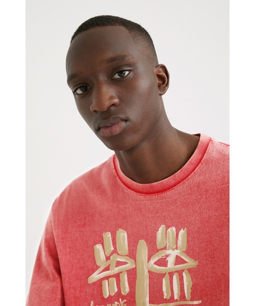 Desigual(デシグアル)の「ネコ科動物 Tシャツ(Tシャツ/カットソー・メンズ・ブラック/レッド・L/XL/S/M/XXL)」の14枚目の写真