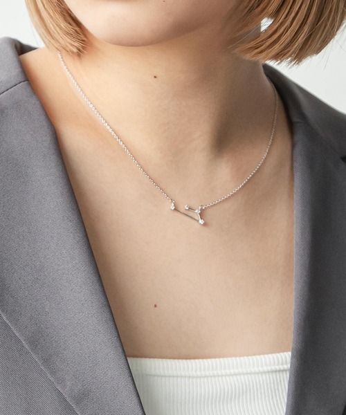 Chillfar（チルファー）の「シルバーネックレス レディース 十二星座（ネックレス・レディース・K/L/B/G/H/J/C/D/E/F/A/I・FREE）」の16枚目の写真