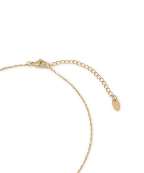 ROPE' PICNIC(ロペピクニック)の「ステンレスハートモチーフトップショートネックレス(ネックレス・レディース・ゴールド/シルバー・FREE)」の9枚目の写真