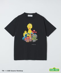 【City Ambient Products別注】: SESAME STREET Tシャツ