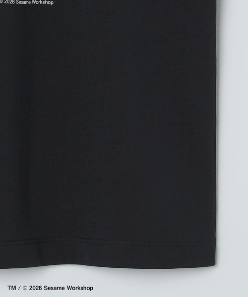 SESAME STREET(セサミストリート)の「【City Ambient Products別注】: SESAME STREET Tシャツ(Tシャツ/カットソー・メンズ・ダークグレー/チャコールグレー/ブラック・MEDIUM/LARGE/X-LARGE)」の6枚目の写真