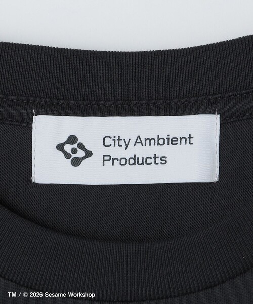 SESAME STREET(セサミストリート)の「【City Ambient Products別注】: SESAME STREET Tシャツ(Tシャツ/カットソー・メンズ・ダークグレー/チャコールグレー/ブラック・MEDIUM/LARGE/X-LARGE)」の7枚目の写真