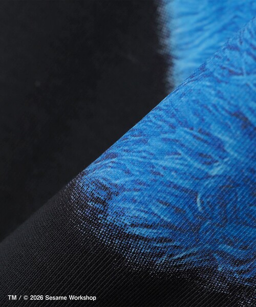 SESAME STREET(セサミストリート)の「【City Ambient Products別注】: SESAME STREET Tシャツ(Tシャツ/カットソー・メンズ・ダークグレー/チャコールグレー/ブラック・MEDIUM/LARGE/X-LARGE)」の9枚目の写真