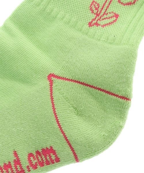 Candy Stripper（キャンディストリッパー）の「SUNNY CANDY SOCKS（ソックス/靴下・レディース・ライム/パープル/ブラック・FREE）」の7枚目の写真