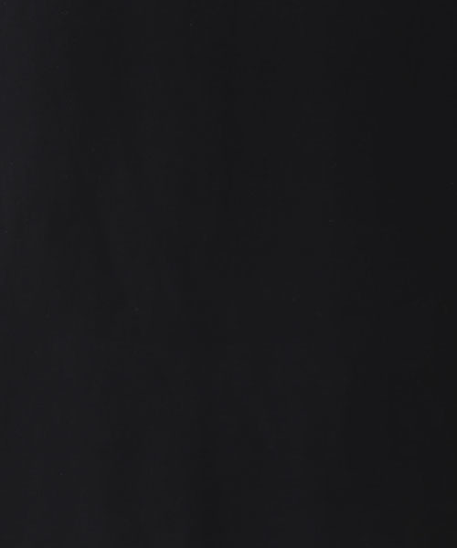 Ray BEAMS（レイビームス）の「RBS / シフォンロングカラー ブラウス（シャツ/ブラウス・レディース・ホワイト/ブラック・0/1）」の7枚目の写真