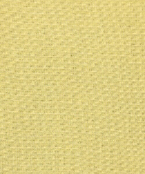 ANY（エニィ）の「【洗濯機可能】ライトリネンクロス　フレアスリーブ（シャツ/ブラウス・レディース・ブラック系6/ブラック系5/ベージュ系/ブラック系/イエロー系・F）」の22枚目の写真