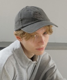 FRUIT OF THE LOOM | Pigment LOW CAP(キャップ)