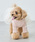 petit mainiveB}Cj́uyDOGz`[XJ[ghbLOsiybgEFAjvbCgsN