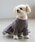 petit mainiveB}Cj́uyDOGz`[XJ[ghbLOsiybgEFAjvbJ