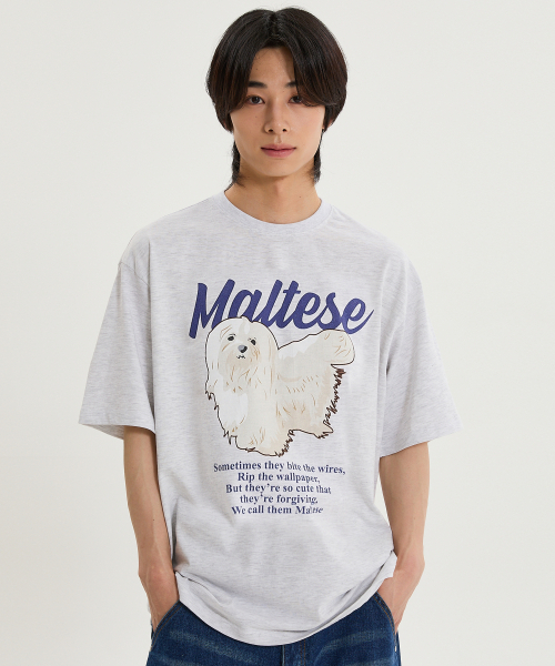 WaiKei（ワイケイ）の「マルチーズイラスト半袖Tシャツメランジホワイト（Tシャツ/カットソー・レディース・その他・0/1/2）」の2枚目の写真