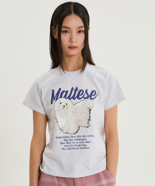 WaiKei（ワイケイ）の「マルチーズイラスト半袖Tシャツメランジホワイト（Tシャツ/カットソー・レディース・その他・0/1/2）」の3枚目の写真