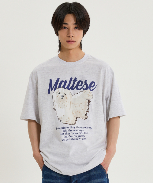 WaiKei（ワイケイ）の「マルチーズイラスト半袖Tシャツメランジホワイト（Tシャツ/カットソー・レディース・その他・0/1/2）」の4枚目の写真
