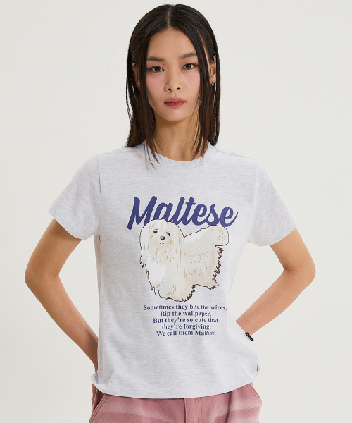 WaiKei（ワイケイ）の「マルチーズイラスト半袖Tシャツメランジホワイト（Tシャツ/カットソー・レディース・その他・0/1/2）」の5枚目の写真