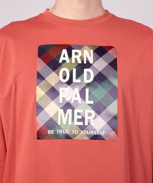 Arnold Palmer(アーノルドパーマー)の「パーマーチェックグラフィック ロングスリーブTシャツ(Tシャツ/カットソー・メンズ・ブラック/ホワイト/ピンク・M/L/LL)」の18枚目の写真