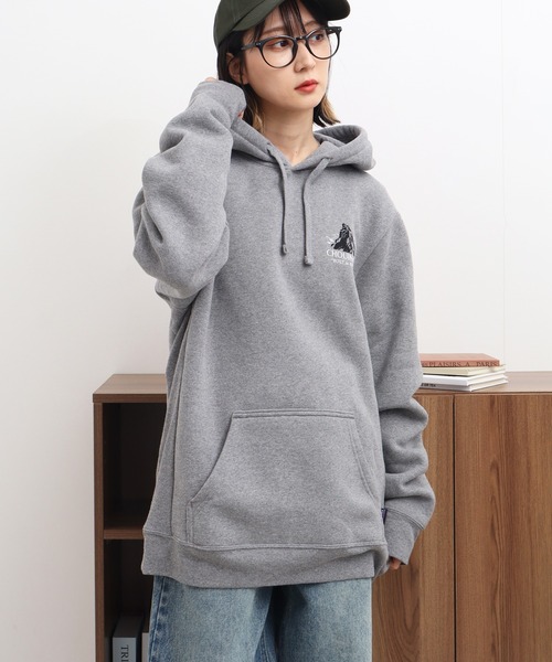 patagonia(パタゴニア)の「【Patagonia/パタゴニア】Chouinard Crest Uprisal Hoody/シュイナード・クレスト・アップライザル・フーディ(パーカー・メンズ・ブラック/ダークグリーン/グレー・M/L/XL/S)」の18枚目の写真