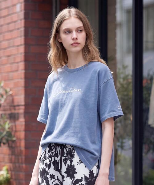 DRESSTERIOR(ドレステリア)の「インディゴ天竺ロゴTシャツ(Tシャツ/カットソー・レディース・チャコールグレー/サックスブルー・36/38/34)」の10枚目の写真