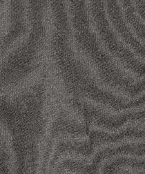 DRESSTERIOR(ドレステリア)の「インディゴ天竺ロゴTシャツ(Tシャツ/カットソー・レディース・チャコールグレー/サックスブルー・36/38/34)」の16枚目の写真