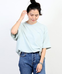 JOURNAL STANDARD | LASKA /ラスカ ライト カラーTシャツ(Tシャツ/カットソー)