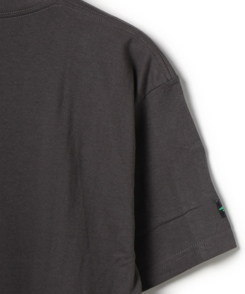 STUSSY（ステューシー）の「半袖Tシャツ（Tシャツ/カットソー・メンズ・グレー・L）」の3枚目の写真