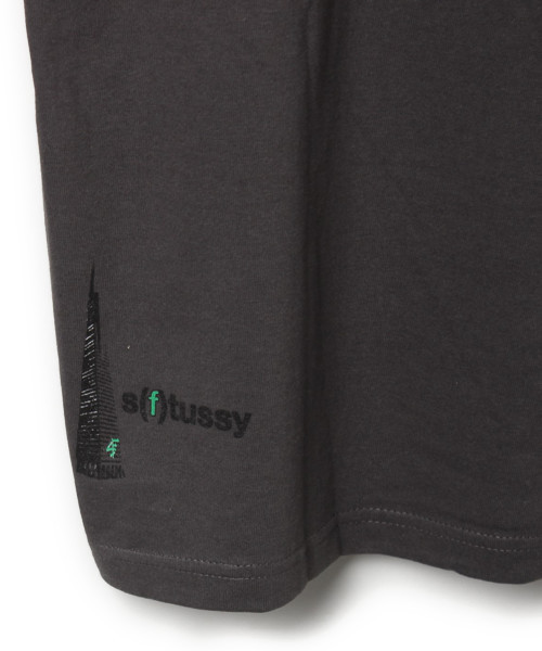 STUSSY（ステューシー）の「半袖Tシャツ（Tシャツ/カットソー・メンズ・グレー・L）」の5枚目の写真