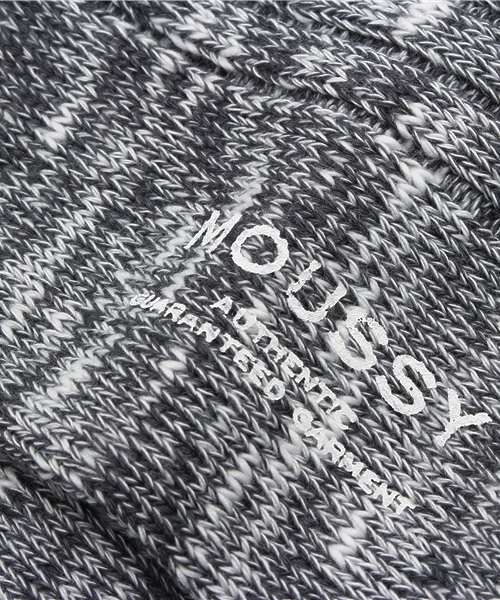 MOUSSY（マウジー）の「RIB SOCKS（ソックス/靴下・レディース・ベージュ系その他/グレー系その他・FREE）」の5枚目の写真