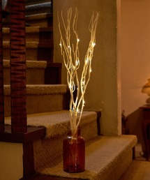 niko and...(jRAh)́y2024XmaszLEDu`/S70cm(CeAG)