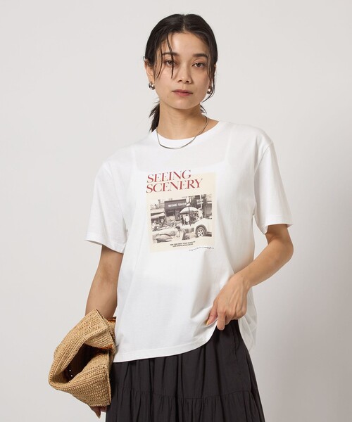 写真・グラフィック T グラフィック フォト Tシャツ（Tシャツ/カットソー）｜green