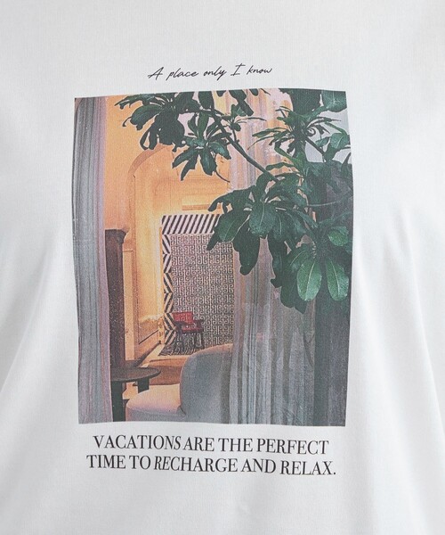 【関税込み】Gentle Fullness グリーン グラフィックTシャツ 関税込み】Gentle Fullness グリーン クルーネックTシャツ (T