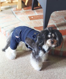 KID BLUE（キッドブルー）の「キッドブルー -ニットデニム -ドッグウエア -KGCW112 -kidblue（ペットウェア）」