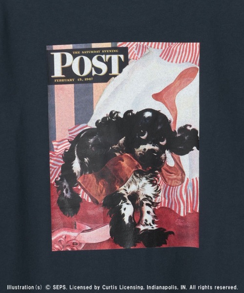 LEPSIM(レプシィム)の「【The Saturday Evening Post】アソートプリントT 672188(Tシャツ/カットソー・レディース・オフホワイト/イエロー・FREE)」の19枚目の写真