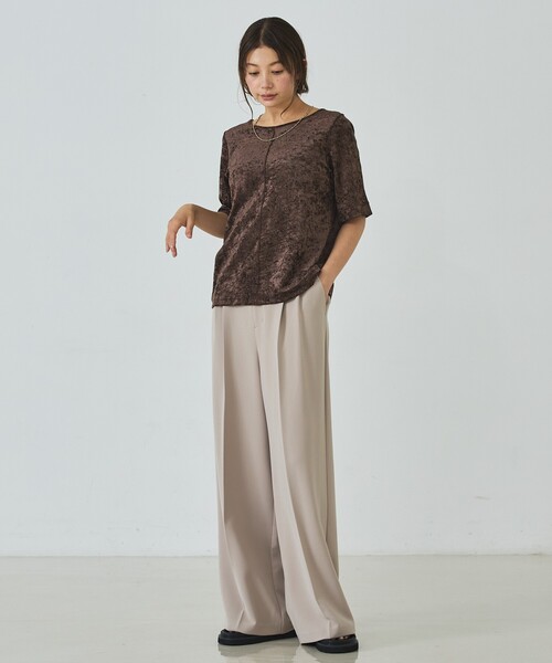abahouse mavie(アバハウスマヴィ)の「シアーベロアTシャツ(Tシャツ/カットソー・レディース・ブラウン/グレー/オフホワイト・フリー)」の10枚目の写真