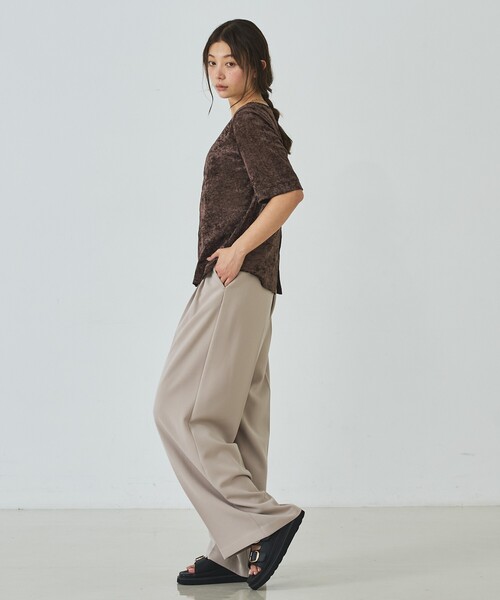 abahouse mavie(アバハウスマヴィ)の「シアーベロアTシャツ(Tシャツ/カットソー・レディース・ブラウン/グレー/オフホワイト・フリー)」の11枚目の写真