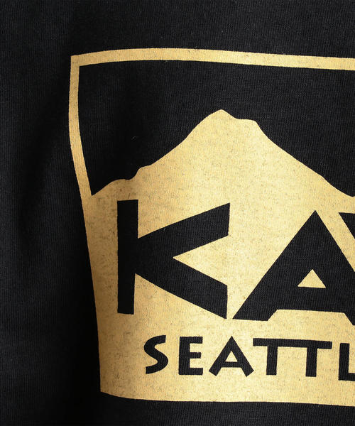 KAVU（カブー）の「別注 ［カブー］SC KAVU GLR TRUE LOGO 長袖 カットソー / プリントT（Tシャツ/カットソー・メンズ・ブラック・M/L）」の8枚目の写真