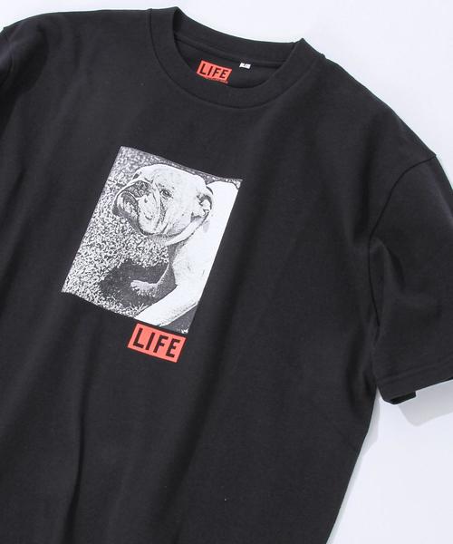 coen（コーエン）の「LIFE(ライフ)別注フォトプリントTシャツ(一部WEB限定カラー)(フォトT）（Tシャツ/カットソー・メンズ・その他4/その他2/その他3/その他1/ブラック/ホワイト・LARGE/SMALL/MEDIUM/X-LARGE）」の21枚目の写真