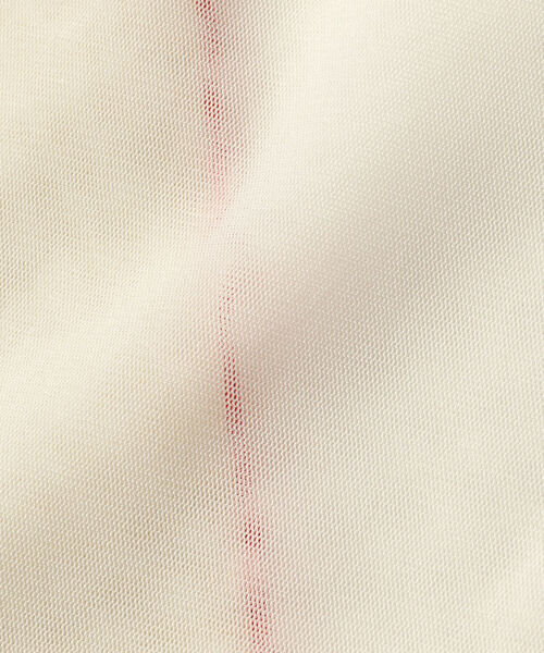 Ray BEAMS（レイビームス）の「TRICOTE / チュール レギンス（レギンス/スパッツ・レディース・ブラック/ホワイト系その他6・ONE SIZE）」の6枚目の写真