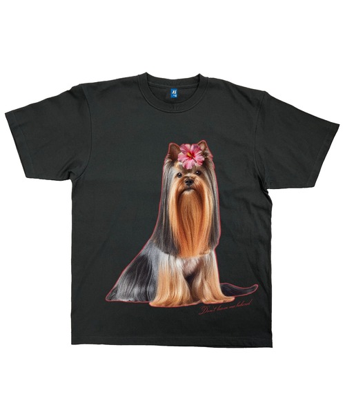 BACANORA.(バカノラ)の「DON'T LEAVE ME BEHIND BIG TEE(Tシャツ/カットソー・レディース・アイボリー/チャコール・X-LARGE)」の1枚目の写真