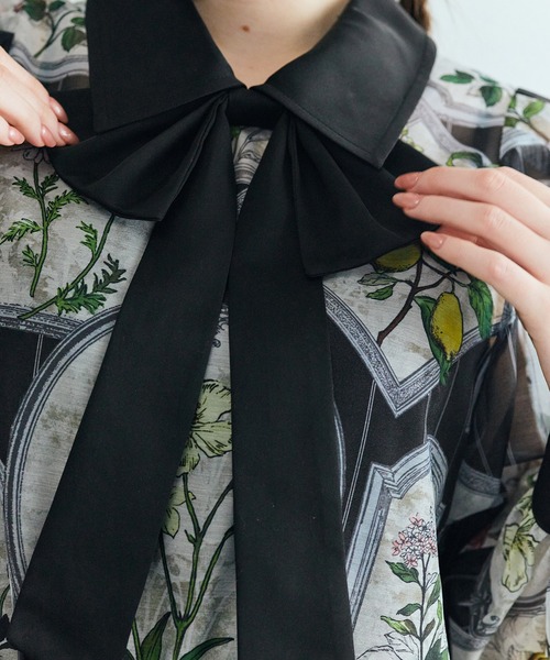 フラワーフレームプリントブラウス（シャツ/ブラウス）｜Audie a Muses