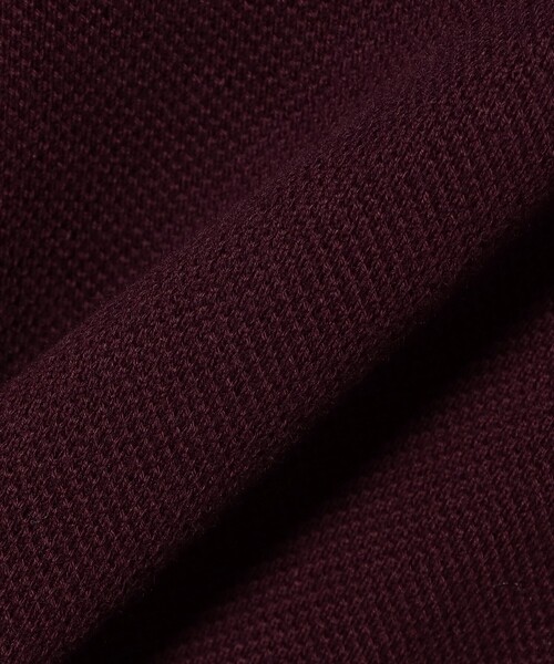 LACOSTE(ラコステ)の「【別注】LACOSTE / ヘビーカノコ ロングスリーブ ポロ(ポロシャツ・メンズ・ネイビー/ブラック/レッド系その他7・SMALL/MEDIUM/LARGE/X-LARGE)」の14枚目の写真