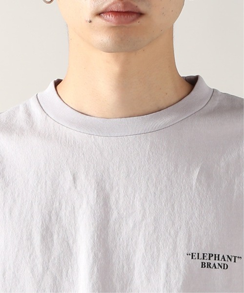 JOURNAL STANDARD relume（ジャーナルスタンダード　レリューム）の「【ELEPHANT BRAND/エレファント ブランド】バックプリントTシャツ（Tシャツ/カットソー・メンズ・グレー/ライトグリーン/シャーベット・MEDIUM/LARGE）」の11枚目の写真