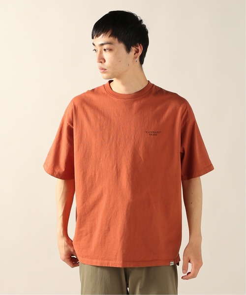 JOURNAL STANDARD relume（ジャーナルスタンダード　レリューム）の「【ELEPHANT BRAND/エレファント ブランド】バックプリントTシャツ（Tシャツ/カットソー・メンズ・グレー/ライトグリーン/シャーベット・MEDIUM/LARGE）」の7枚目の写真