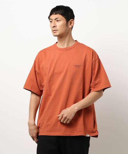 JOURNAL STANDARD relume（ジャーナルスタンダード　レリューム）の「【ELEPHANT BRAND/エレファント ブランド】バックプリントTシャツ（Tシャツ/カットソー・メンズ・グレー/ライトグリーン/シャーベット・MEDIUM/LARGE）」の20枚目の写真