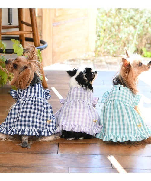 ROPE' PICNIC(ロペピクニック)の「ROPE' PICNIC/チェック柄Aラインワンピース(ペットウェア・レディース・パープル/ネイビー/グリーン・XS/L/M/2XS/2L/S/2M)」の4枚目の写真