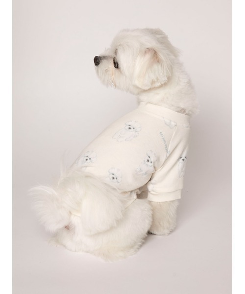 ✴新品✴gelato pique&スヌーピー マルチカバー ホワイト 楽天市場】【SALE／30%OFF】【PEANUTS】【Sleep】SNOOPY×BEAR