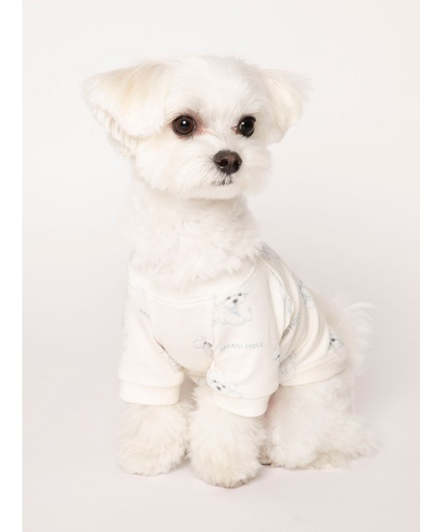 gelato pique（ジェラートピケ）の「【CAT&DOG】【販路限定商品